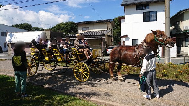 やまがた馬まつりの馬車の様子