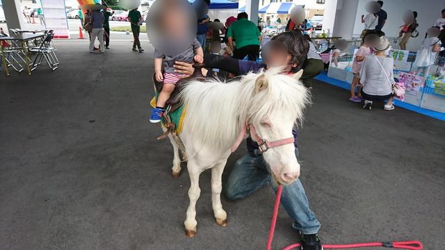 トヨペットのサンサンフェスティバルでポニーに乗る