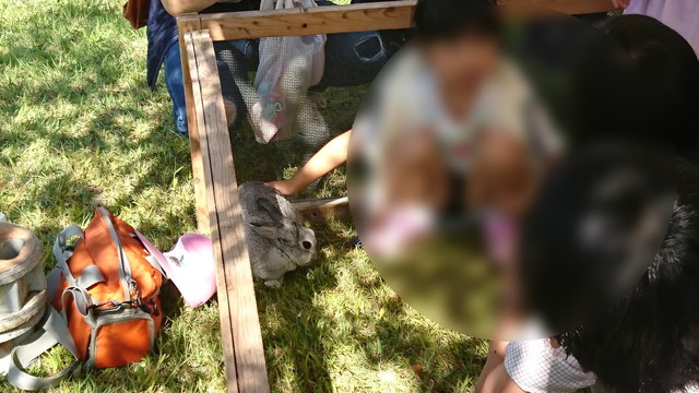 やまがた馬まつりの小動物ふれあいコーナー