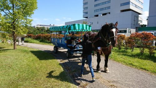 やまがた馬まつりの馬車