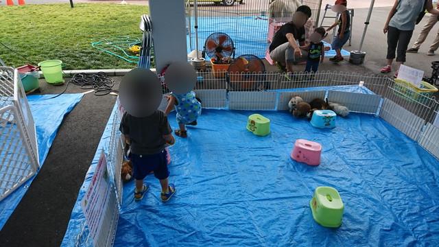 トヨペットのサンサンフェスティバルのミニ動物園6