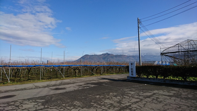 ハタケカフェ(HATAKE CAFE)の反対側の景色