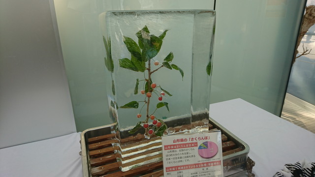 やまがた雪フェスティバルのセンターハウスの氷づけさくらんぼ