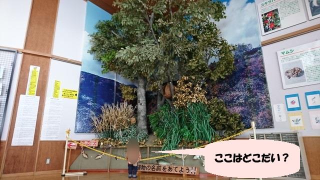 少年自然の家でチューブすべり-サーイスセンターの体育館ホールの展示