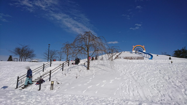 やまがた雪フェスティバルスノーランドの遊具広場2