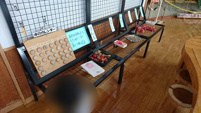 少年自然の家でチューブすべり-サーイスセンターの体育館ホールのおもちゃ