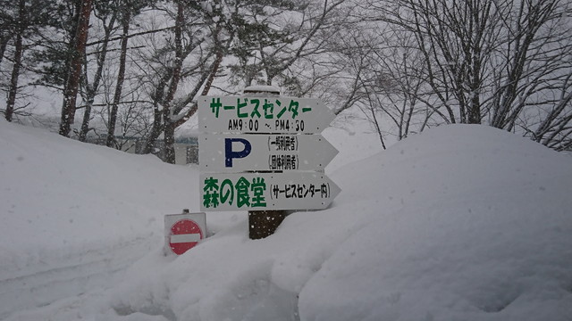 少年自然の家でチューブすべり-道の案内板