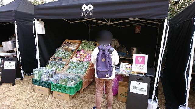 guraの集える広場の様子6