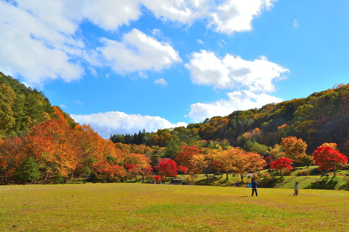 山形県民の森-紅葉もみじまつり-芝生広場