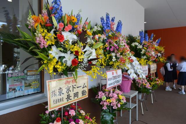 めんごりあ-東京ドームグループ