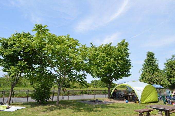 いも煮広場-おすすめ用品-タープ