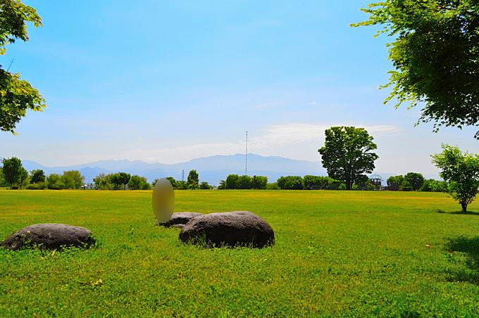 西公園-遊びの森-芝生広場1