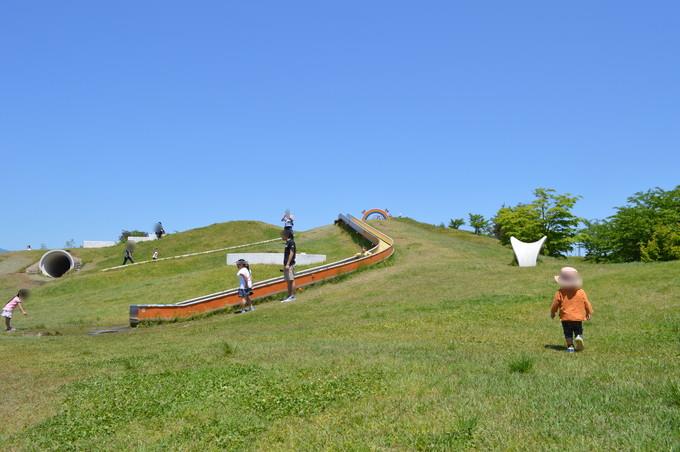 最上川ふるさと総合公園-わんぱく広場の丘のすべり台1