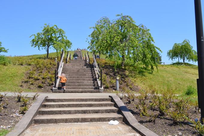 最上川ふるさと総合公園-虹の丘階段