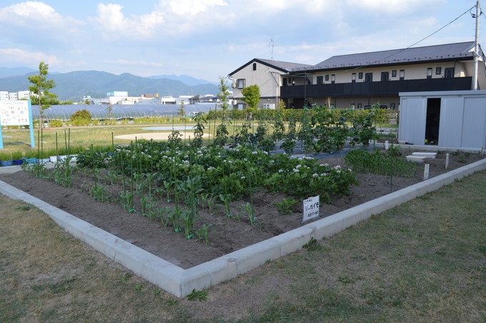 べにっこひろば-屋外-⑪ほのぼのファーム