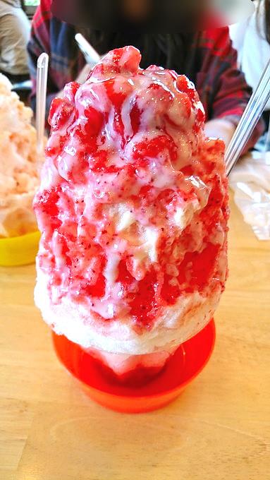 食レポ 赤塚製氷 Ice Cafe 弘水 Kosui 山形県天童市 かき氷がふわふわで困った やまがたぐらし