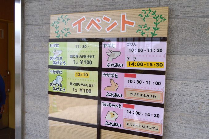 八木山動物園-ふれあいの丘-イベントの案内
