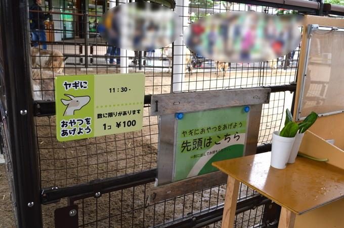 八木山動物園-ふれあいの丘-ヤギのえさやり1