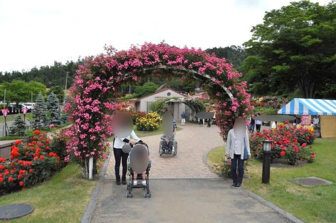 東沢バラ公園-バラのトンネル