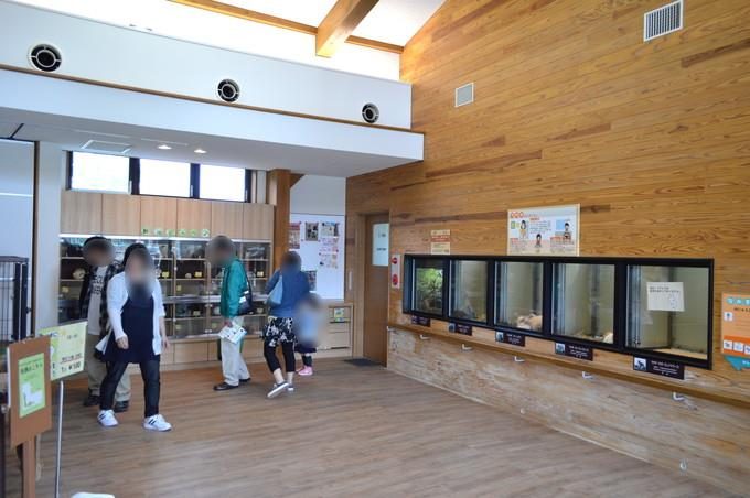 八木山動物園-ふれあいの丘-パンダマウス