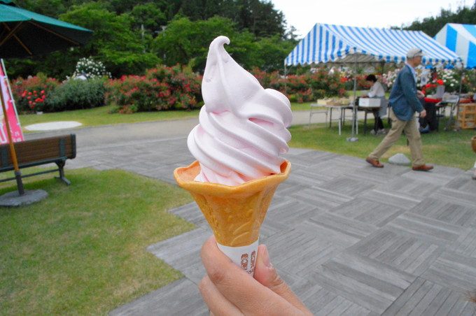 東沢バラ公園-バラ交流館のバラソフトクリーム
