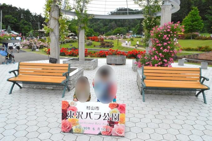 東沢バラ公園-撮影スポット4