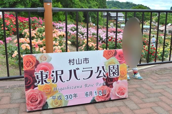 東沢バラ公園-撮影スポット2