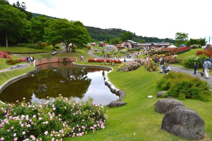 東沢バラ公園-全景1