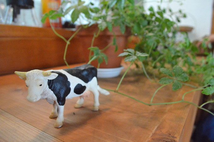 蔵王-おやまカフェ-店内の様子10-インテリア1