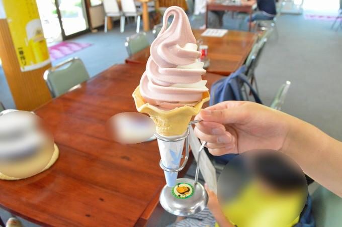 蔵王猿倉-レストハウス5-山ぶどうソフトクリーム