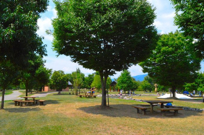 西公園-遊びの森-大型遊具-テーブルベンチや木陰の様子