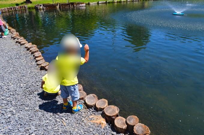 蔵王猿倉-つり堀6-残ったエサはえさやり