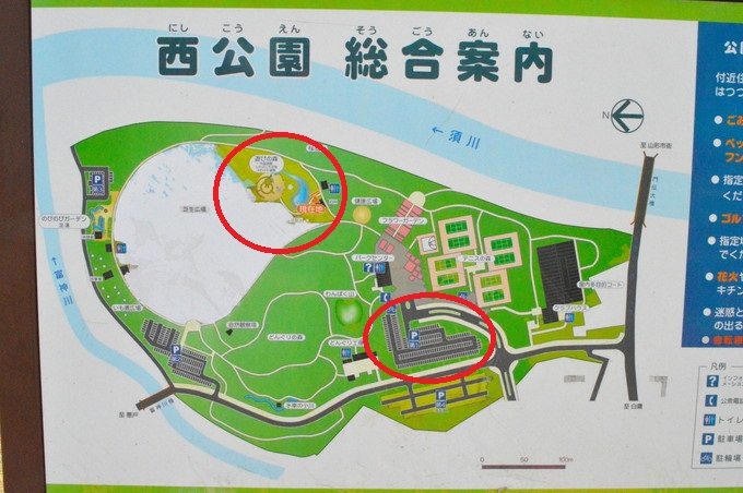 西公園-遊びの森-公園内マップ