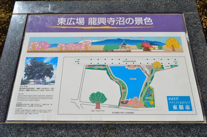 東根の大ケヤキ-龍興寺沼公園の案内板