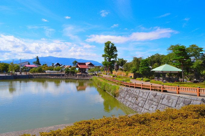 東根の大ケヤキ-龍興寺沼公園の景色