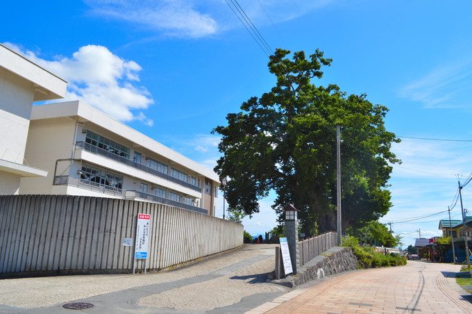 東根の大ケヤキ-外観-敷地街からの写真-1