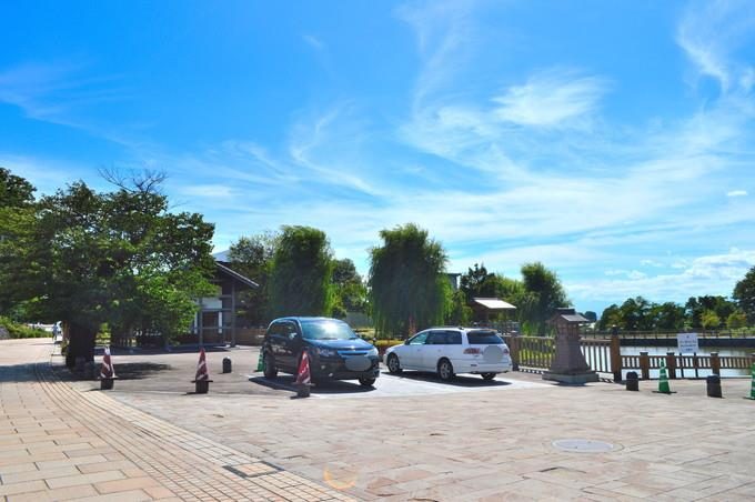 東根の大ケヤキ-龍興寺沼公園の駐車場