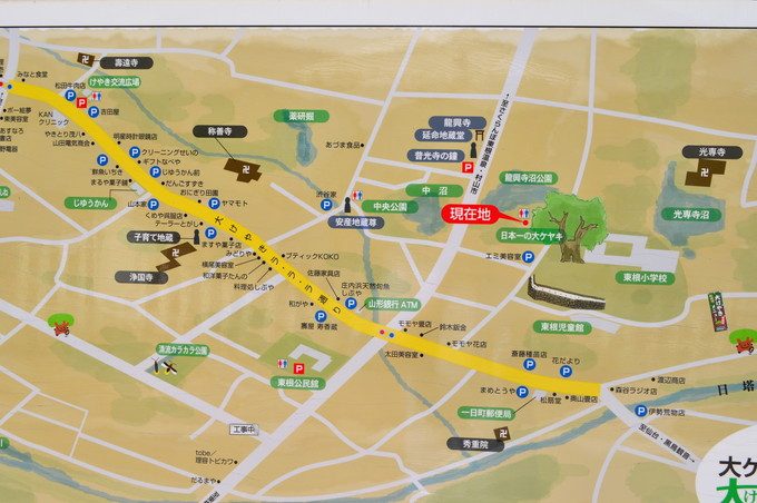 東根の大ケヤキ-大ケヤキ案内所-駐車場の看板