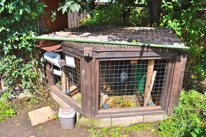 ミツバチガーデンカフェ-うさぎ1