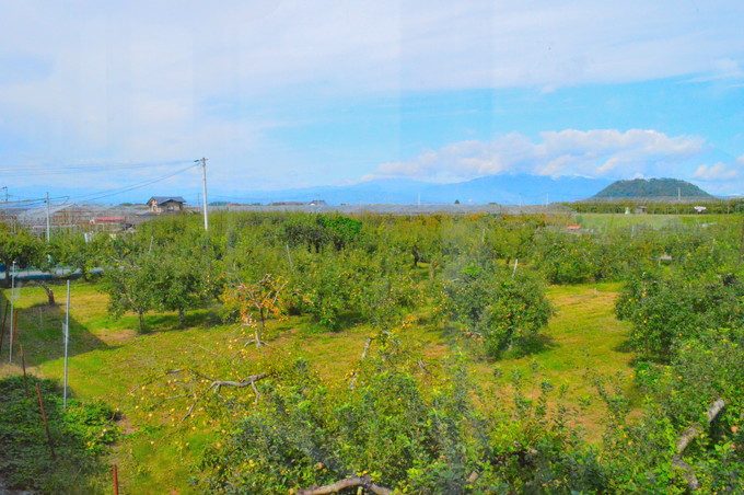 Oh!Show!Cafe(王将カフェ)-店内の様子-2階7