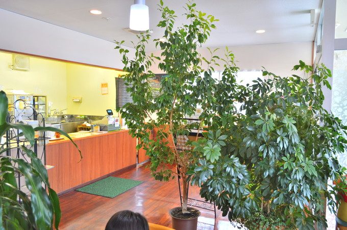 ハンズバーガー-店内の様子6