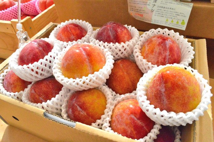 Oh!Show!Cafe(王将カフェ)-お土産コーナー2