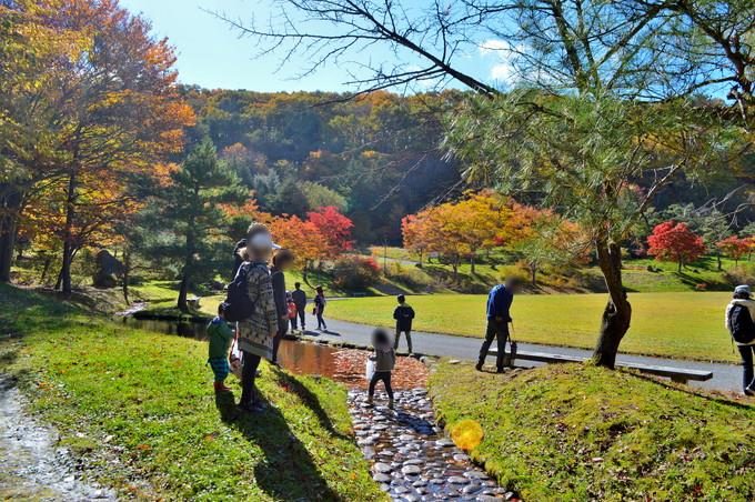 山形県民の森-紅葉もみじまつり-秋の宝探し3