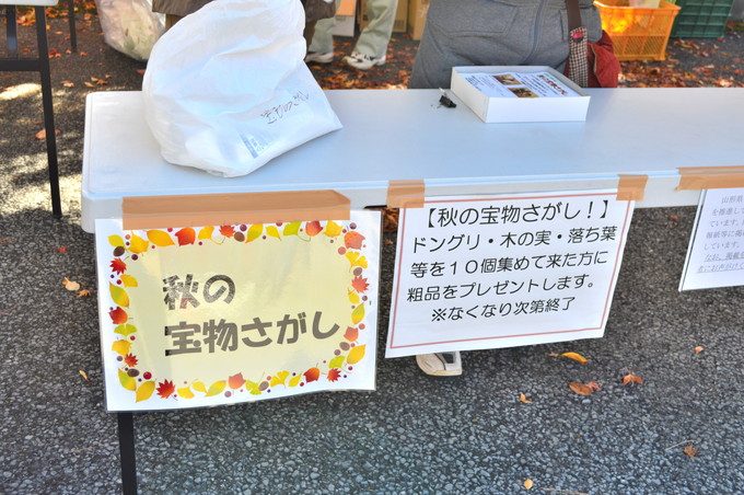 山形県民の森-紅葉もみじまつり-秋の宝探し1