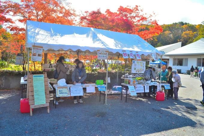 山形県民の森-紅葉もみじまつり-受付