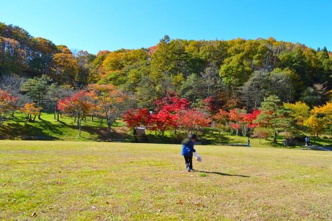 山形県民の森-紅葉もみじまつり-秋の宝探し5