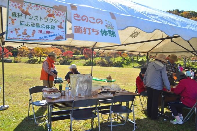 山形県民の森-紅葉もみじまつり-森の体験