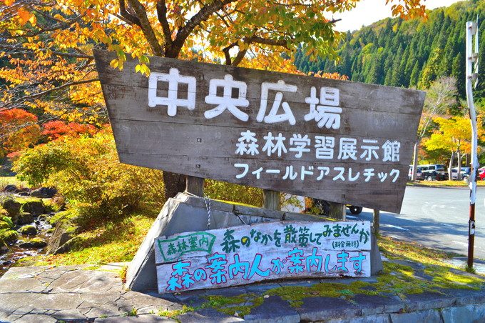 山形県民の森-紅葉もみじまつり-中央広場