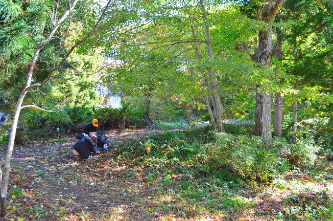 山形県民の森-紅葉もみじまつり-秋の宝探し2