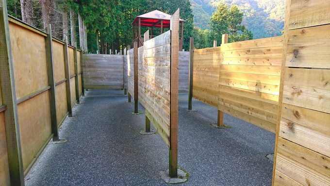 日光巨大迷路パラディアム-迷路の様子3